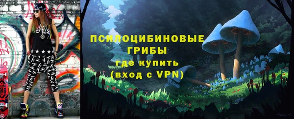молекула духа Магас