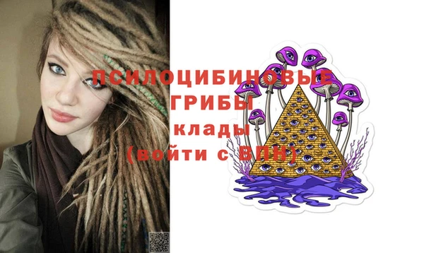 молекула духа Магас