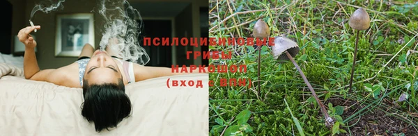 меф Майский